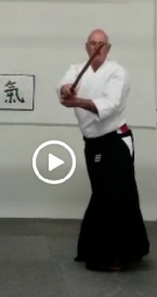 2nd Bokken Kata normal speed.mp4