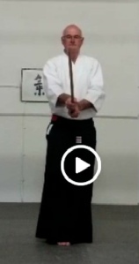 1st Bokken Kata normal speed.mp4